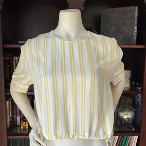 NWT Harper Wren Sheer Crop Top
